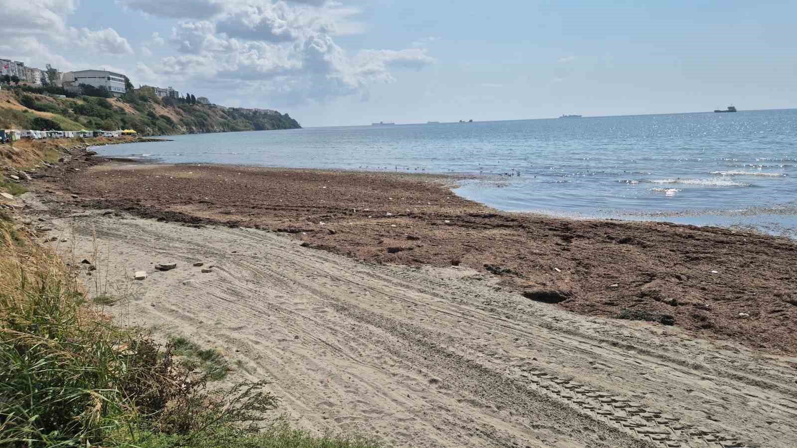 Tekirdağ&rsquo;da deniz adeta kara toprak par&ccedil;asına d&ouml;n&uuml;şt&uuml;
