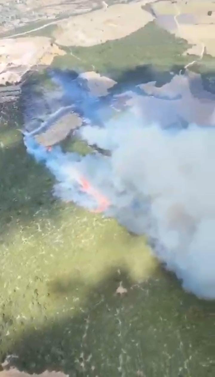 Bursa Nilüfer&rsquo;deki orman yangını kontrol altına alındı