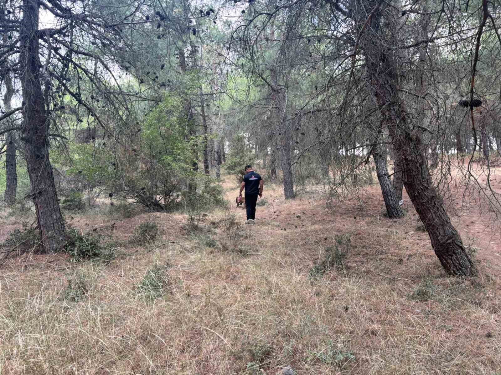 Kayıp yaşlı kadını arama &ccedil;alışmalarına &ouml;zel eğitimli k&ouml;pekler de katıldı
