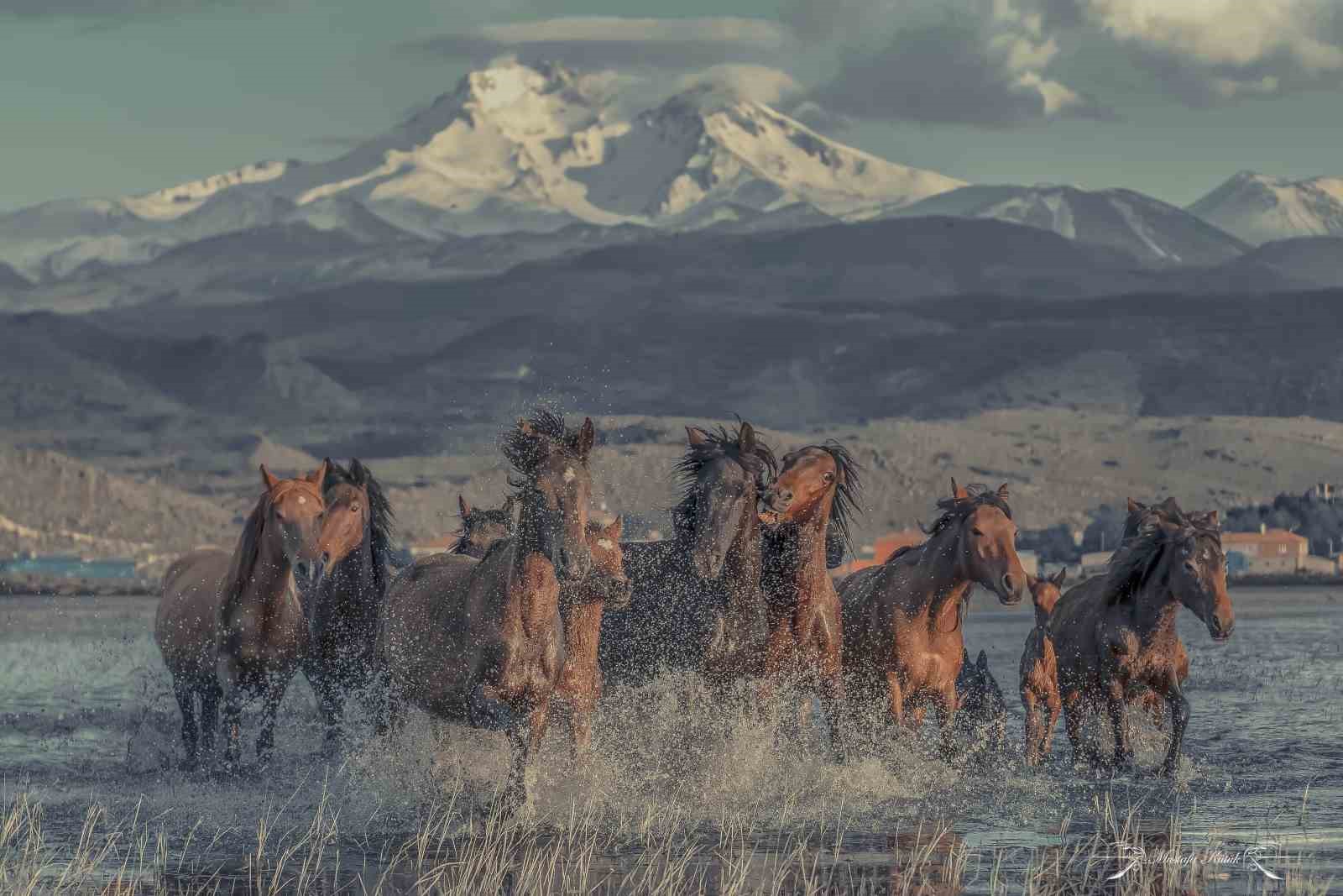 Hacılar&rsquo;da doğaseverler i&ccedil;in saklı cennet: H&uuml;rmet&ccedil;i Sazlığı
