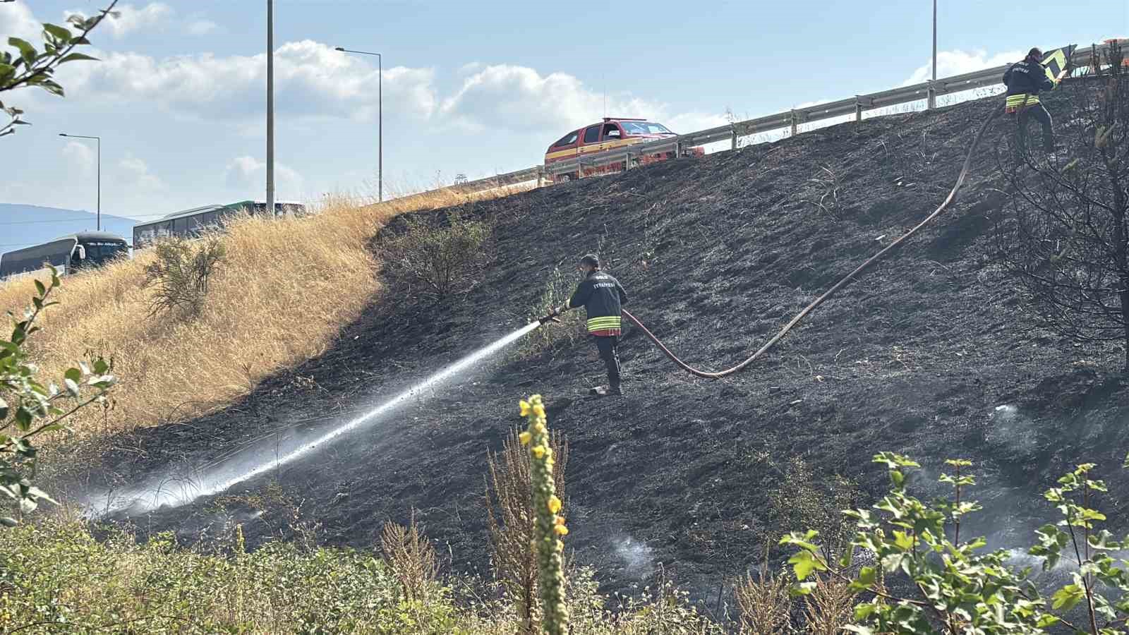 Bolu’da gişelerin girişinde otluk alanda yangın