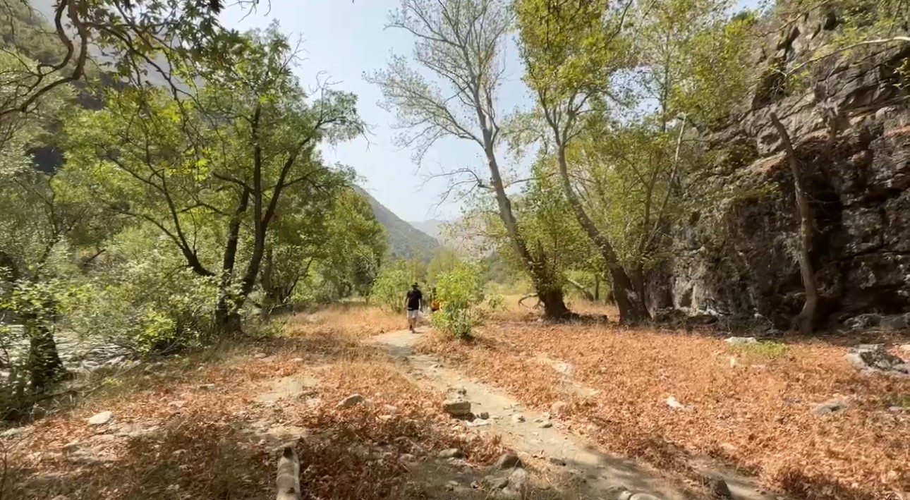 Yüksekovalı dağcılar önce doğa yürüyüşü yaptı, ardından Avaşin deresinde yüzüp halay çekti