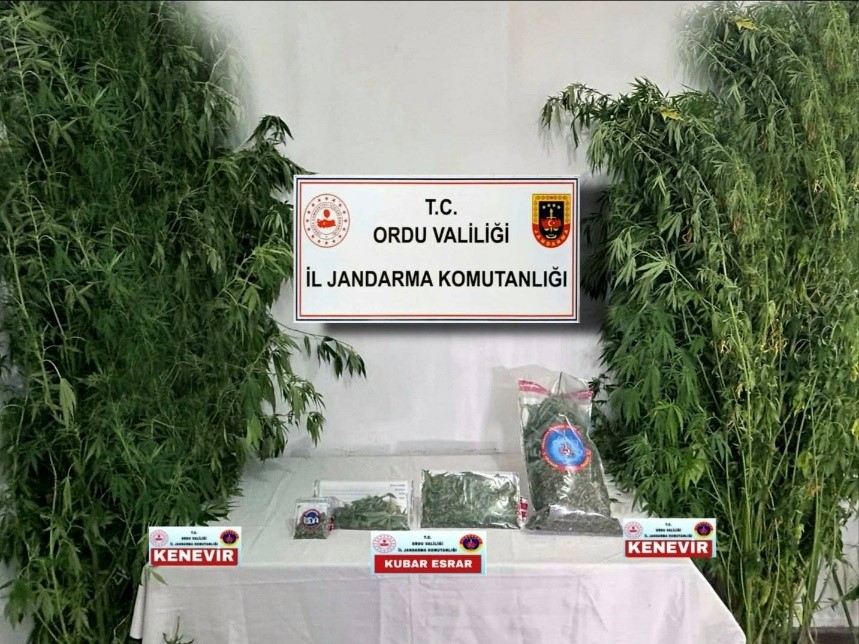 Ordu&rsquo;da jandarma ekiplerinin bir haftalık faaliyetleri
