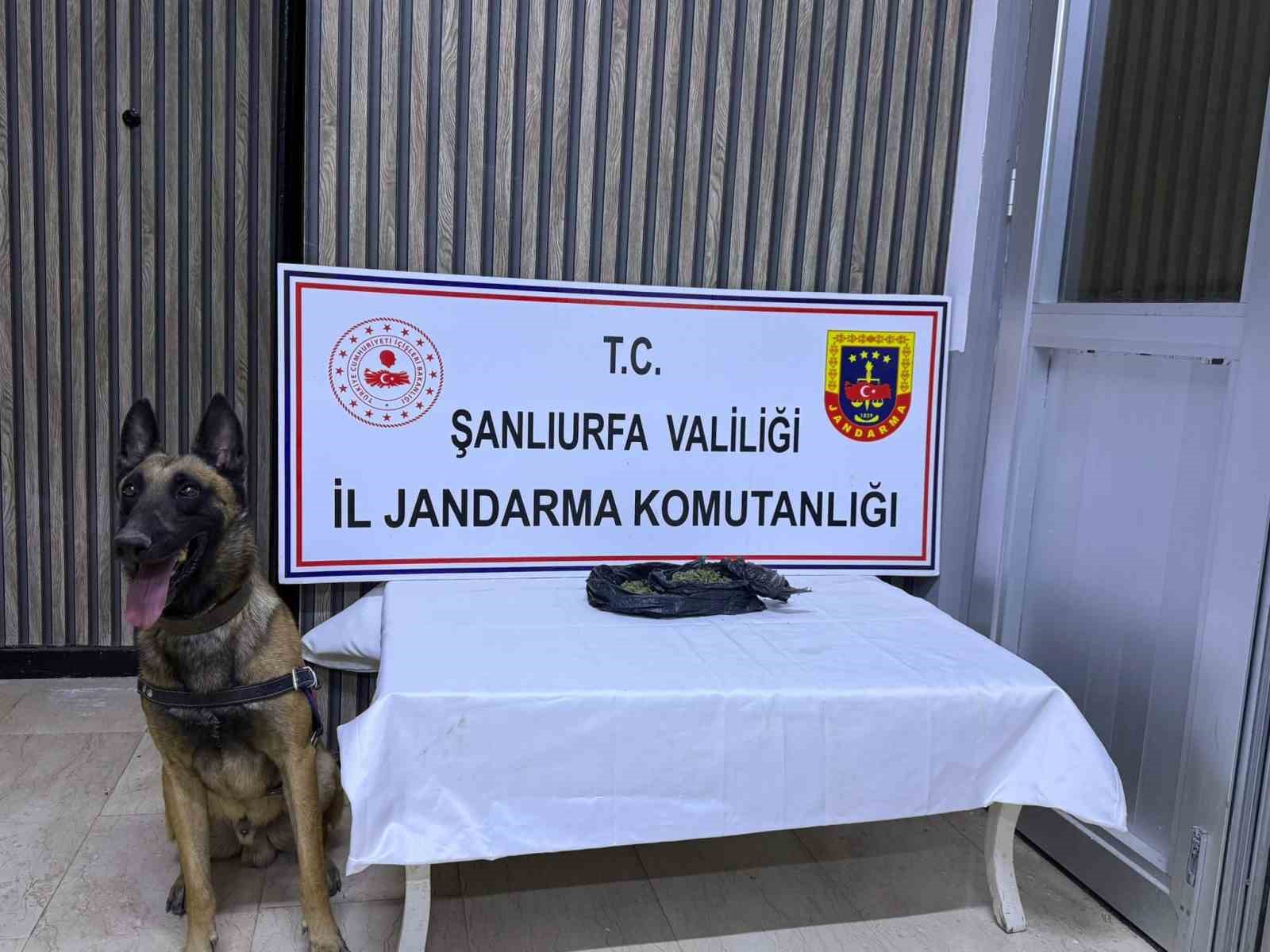 Şanlıurfa’da uyuşturucu operasyonu: 6 gözaltı