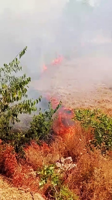 Karabük’te ot yangını büyümeden söndürüldü