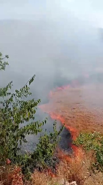 Karab&uuml;k&rsquo;te ot yangını b&uuml;y&uuml;meden s&ouml;nd&uuml;r&uuml;ld&uuml;
