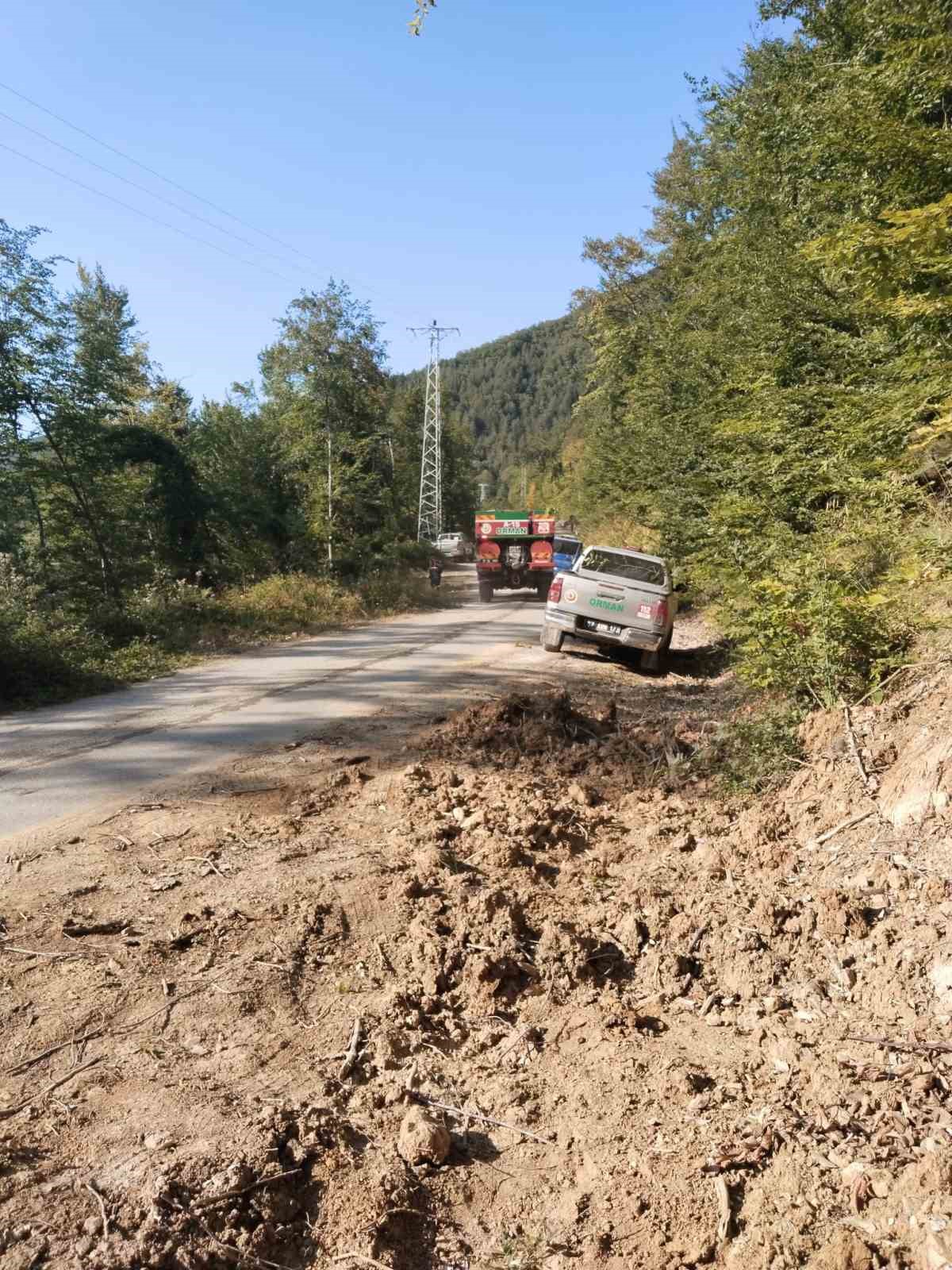T&uuml;rkeli&rsquo;de ormanlık alanda &ouml;rt&uuml; yangını
