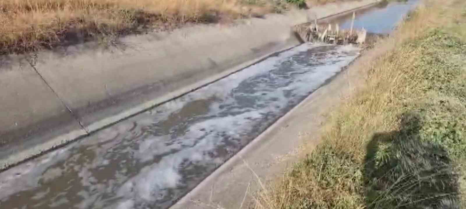 Amasya’da sulama kanalı kirlilikten köpürdü, balık ölümleri görülmeye başladı