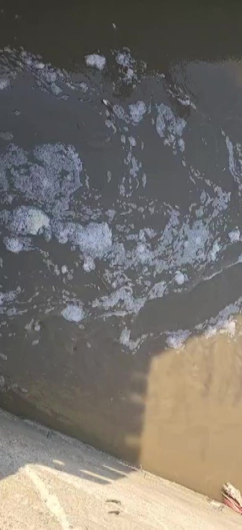 Amasya’da sulama kanalı kirlilikten köpürdü, balık ölümleri görülmeye başladı