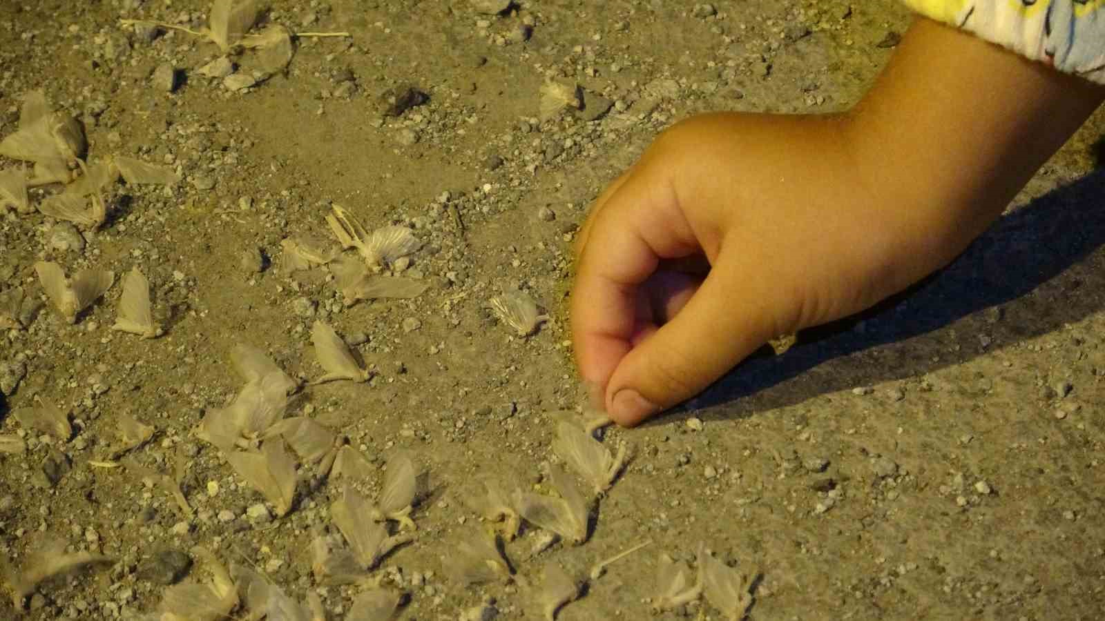 &rsquo;Bir g&uuml;nl&uuml;kler&rsquo;in &ouml;l&uuml;m u&ccedil;uşu ge&ccedil; başladı
