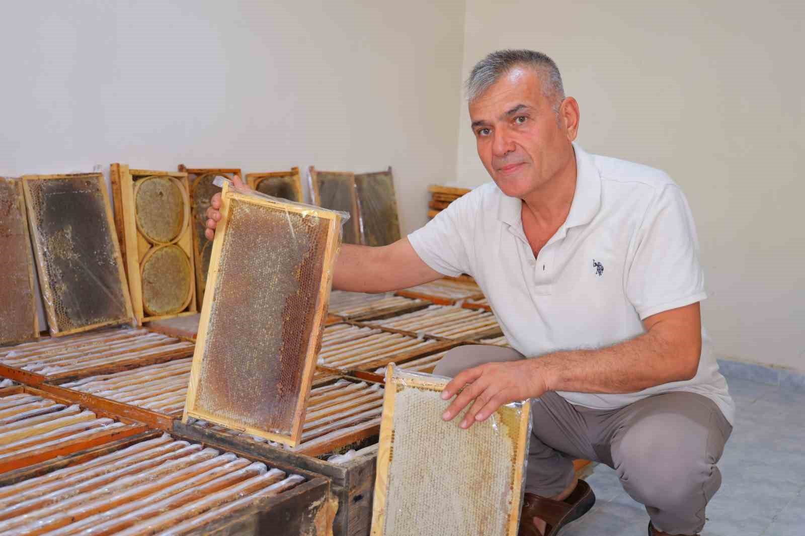 Kahramanmaraş’ta bu yıl 10 bin tonunun üzerinde bal rekoltesi bekleniyor