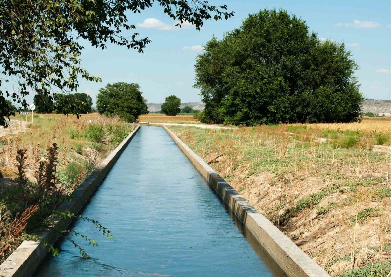 Yüreğir Ziraat Odası Başkanı Doğan: "Sulama ücretlerinin ertelenmesi gerekmektedir"