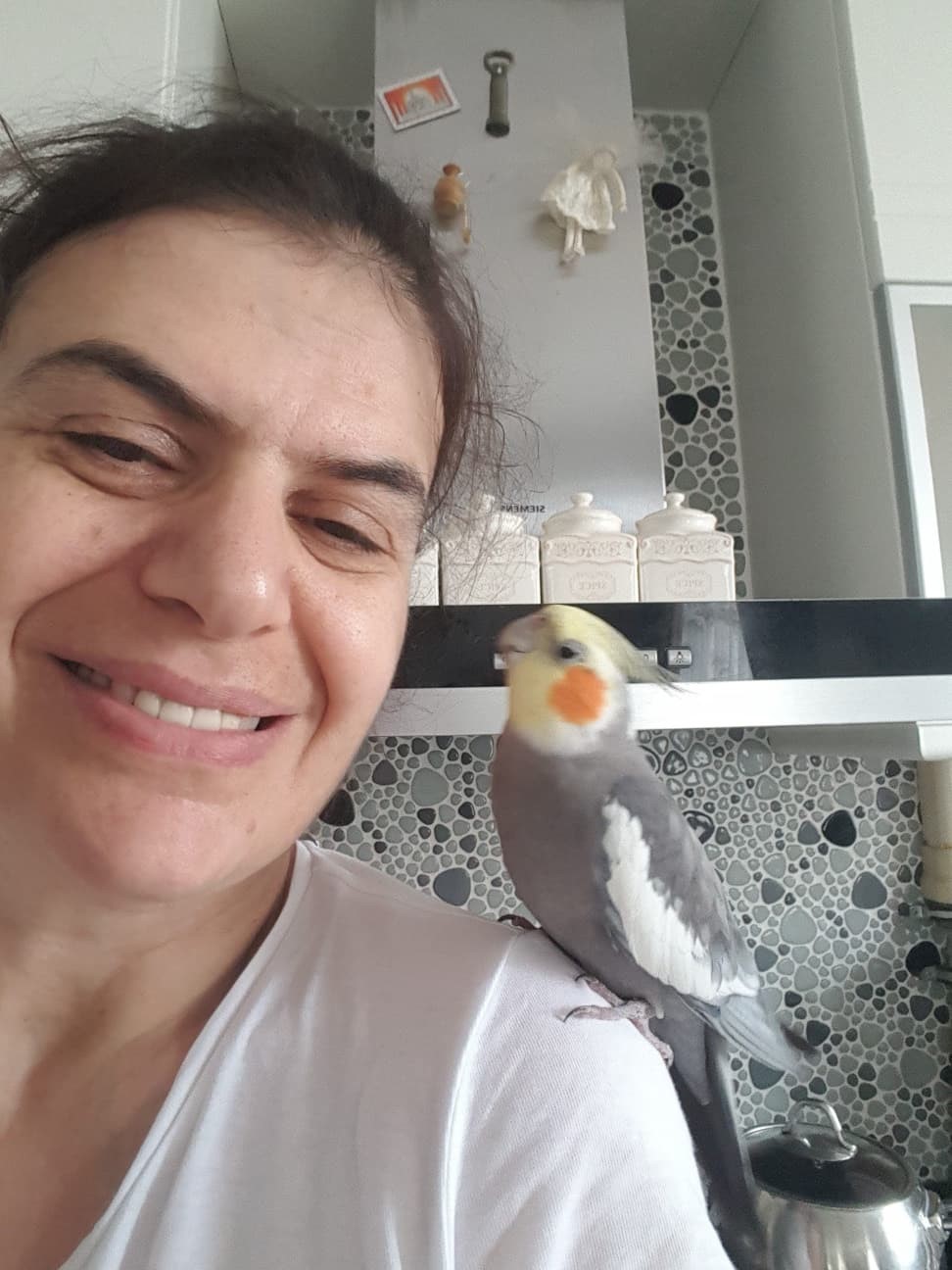 Kayıp papağanı &rsquo;Duman&rsquo; i&ccedil;in yollara d&uuml;şt&uuml;
