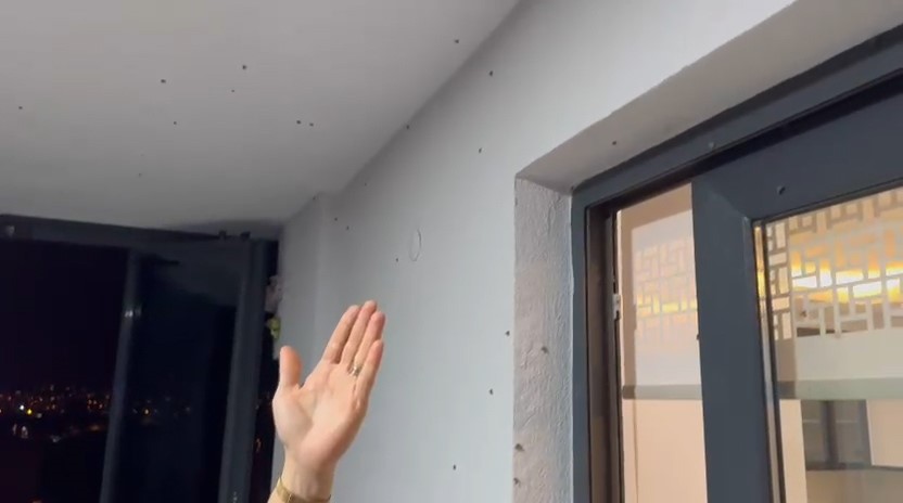 Rize&rsquo;de bah&ccedil;elerden sonra evlerde "vampir kelebek" istilası
