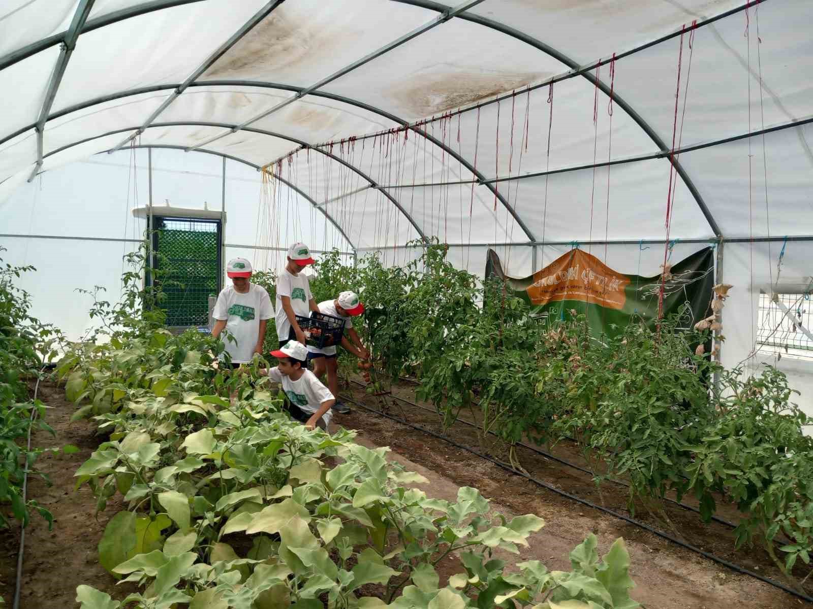 Önce öğrenip üretiyorlar, sonra yiyorlar