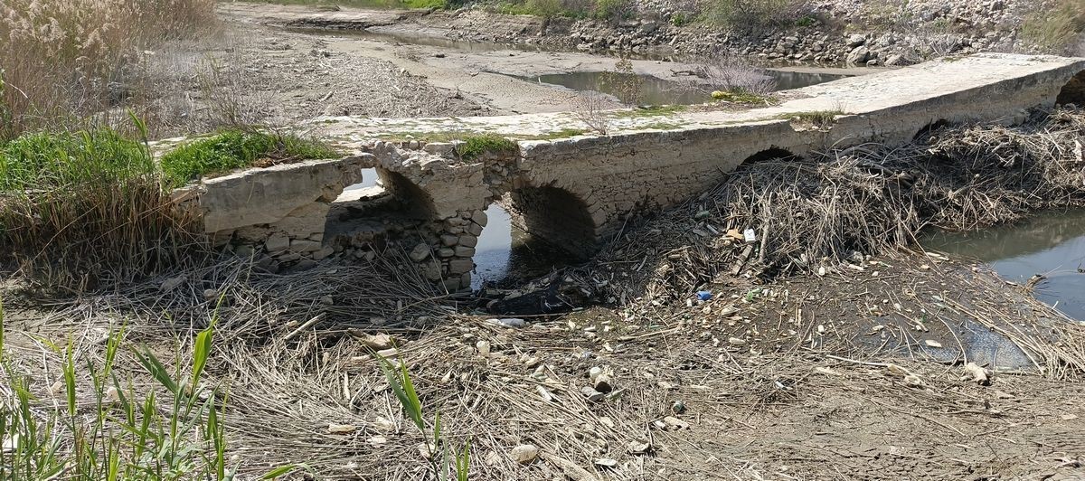 Başkan Sürücü: "Eğer önlem alınmazsa taşköprü yok olacak"