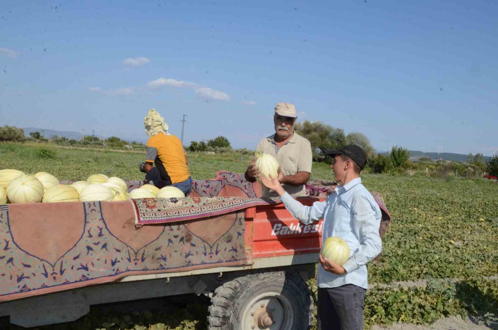 Türkiye, kavuna doyacak