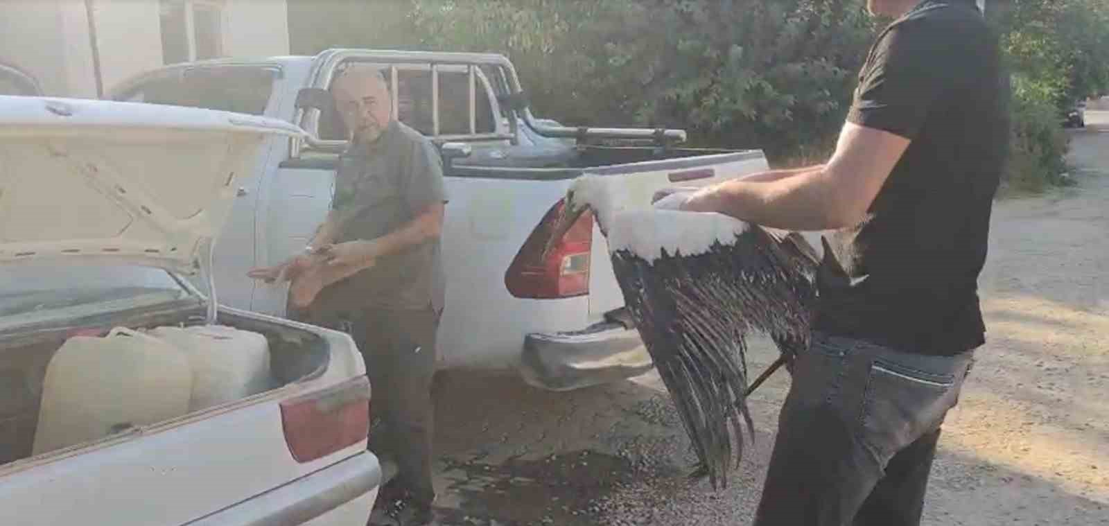 Balçığa saplanan leyleğin imdadına balıkçılar yetişti