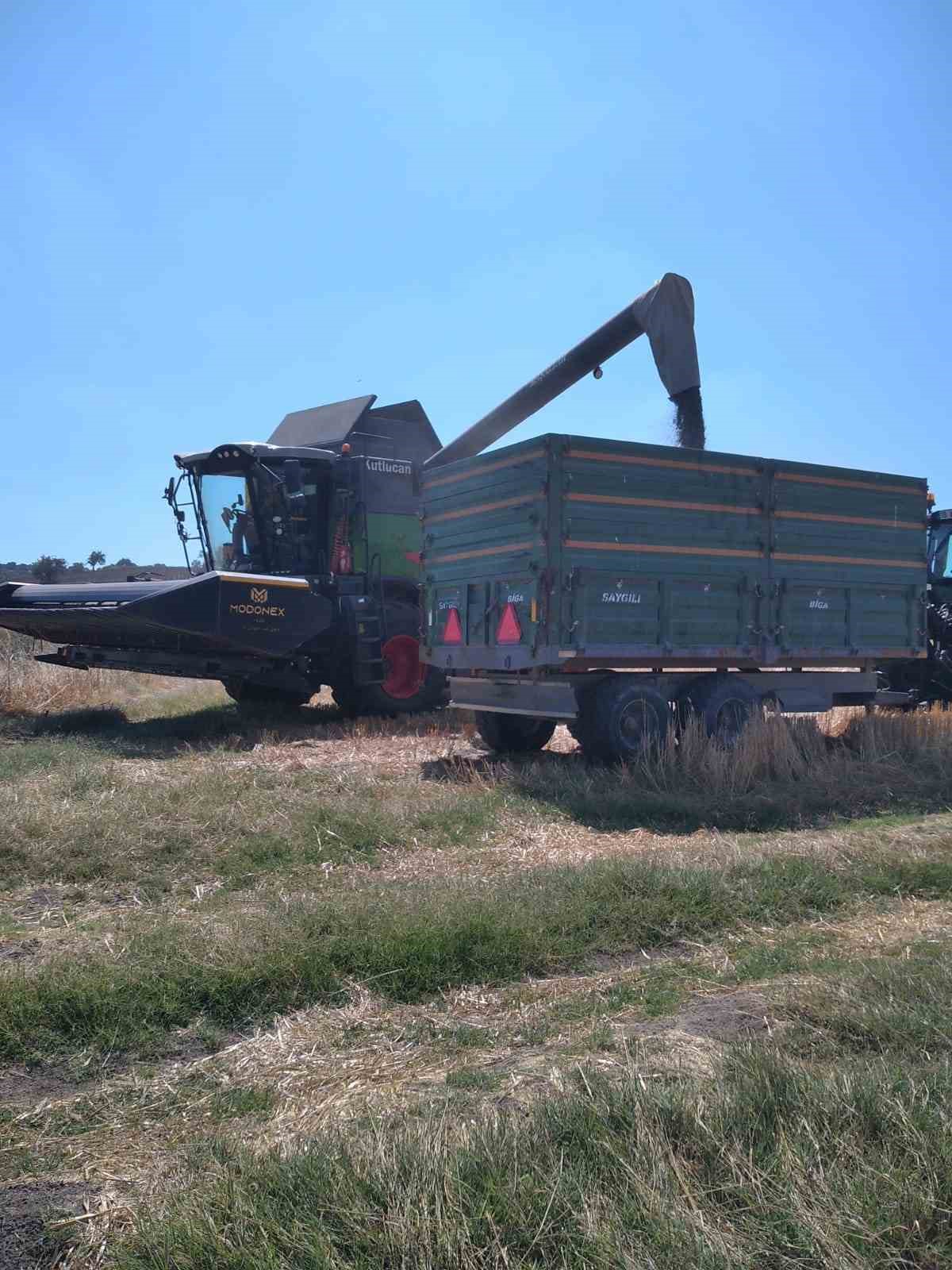 Manyas&rsquo;ta ay&ccedil;i&ccedil;eği hasadı başladı
