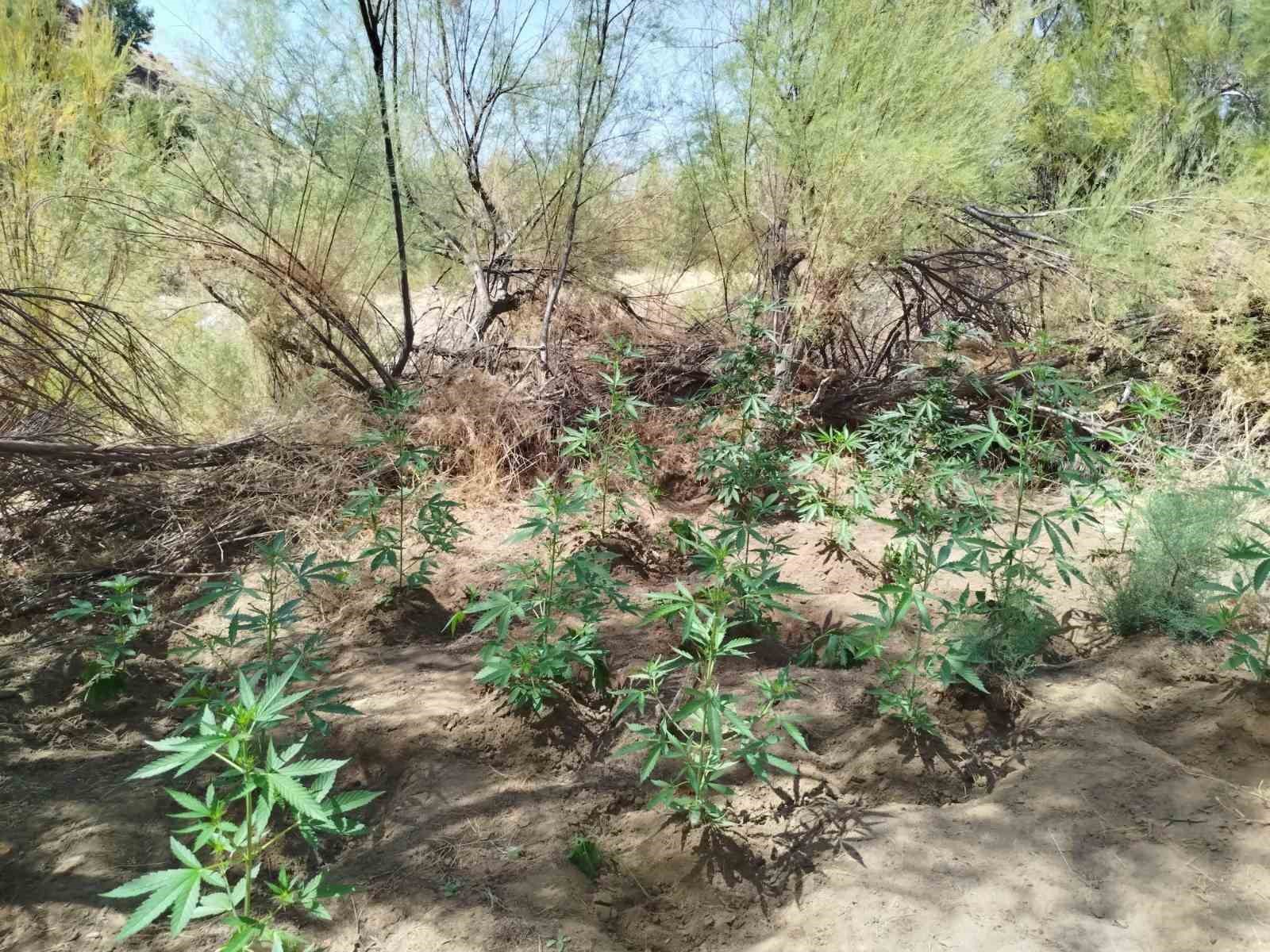 Bing&ouml;l&rsquo;de uyuşturucuyla m&uuml;cadele
