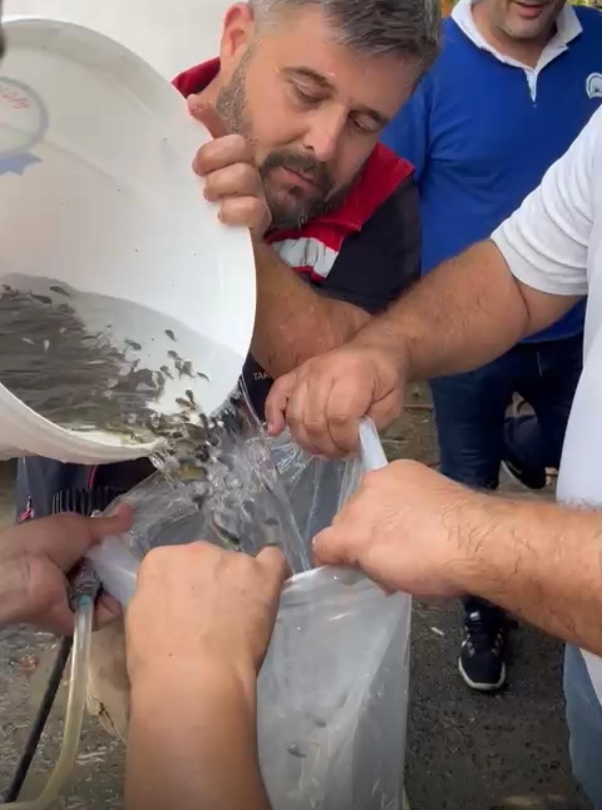 Hayrabolu’da göle 200 bin yavru sazan bırakıldı