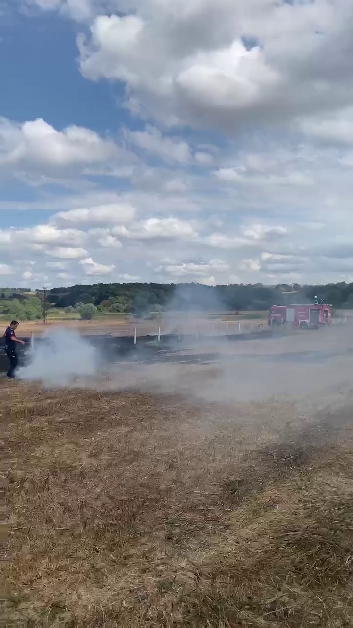 Anız yangınında 3 d&ouml;n&uuml;m alan k&uuml;l oldu
