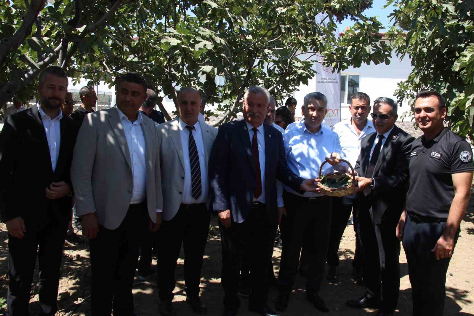 İncirliova&rsquo;da protokol &uuml;yeleri incir hasadına katıldı
