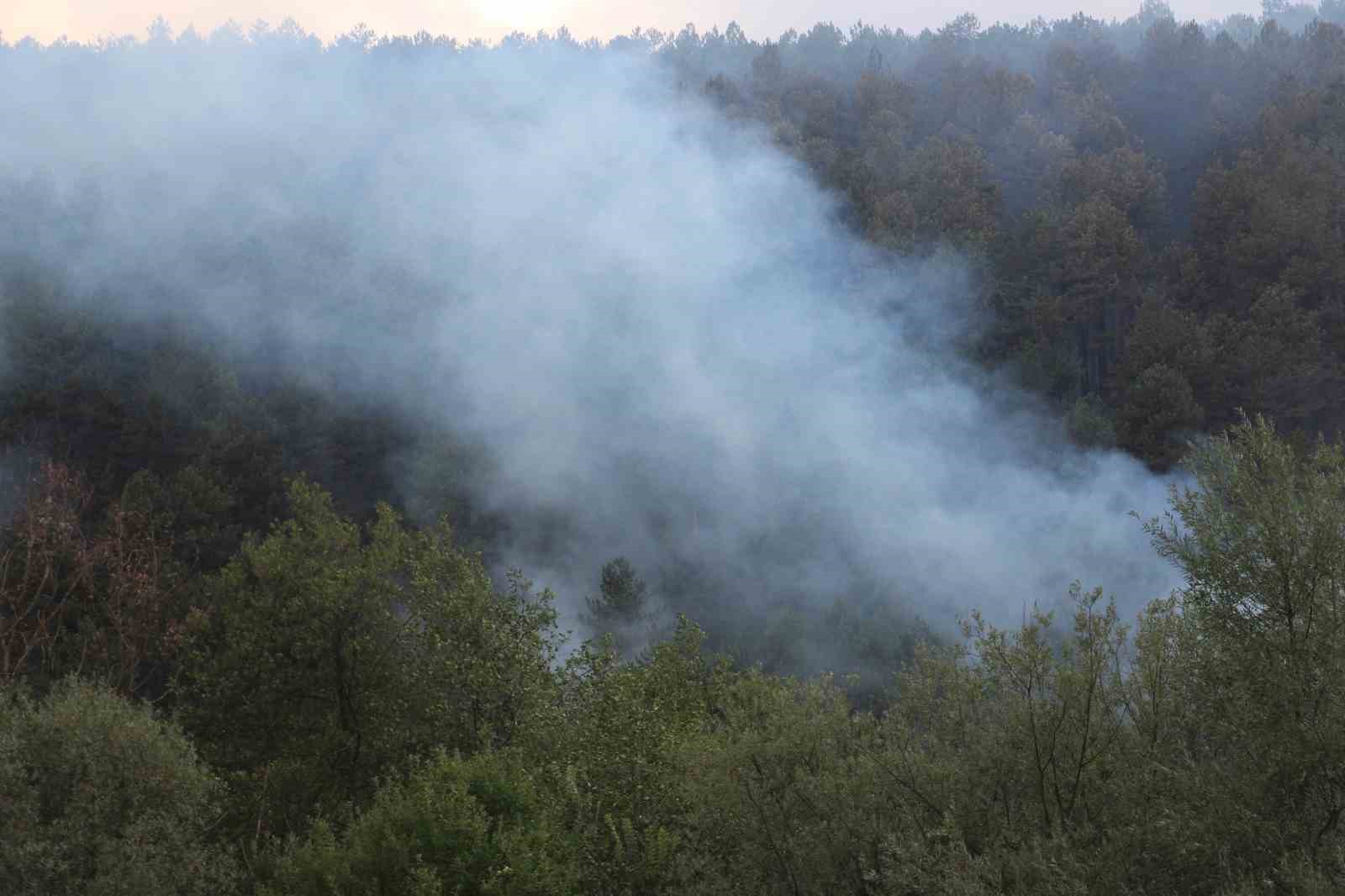 Bolu&rsquo;daki yangın kısmi olarak kontrol altına alındı
