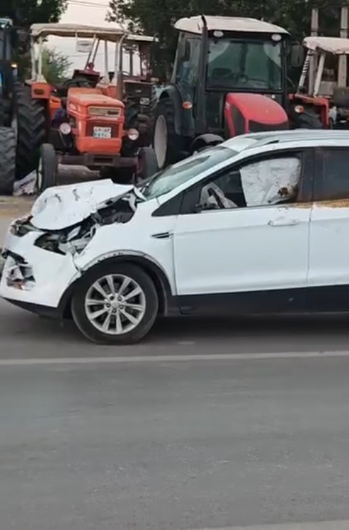 Muş’ta yola çıkan ineğe otomobil çarptı