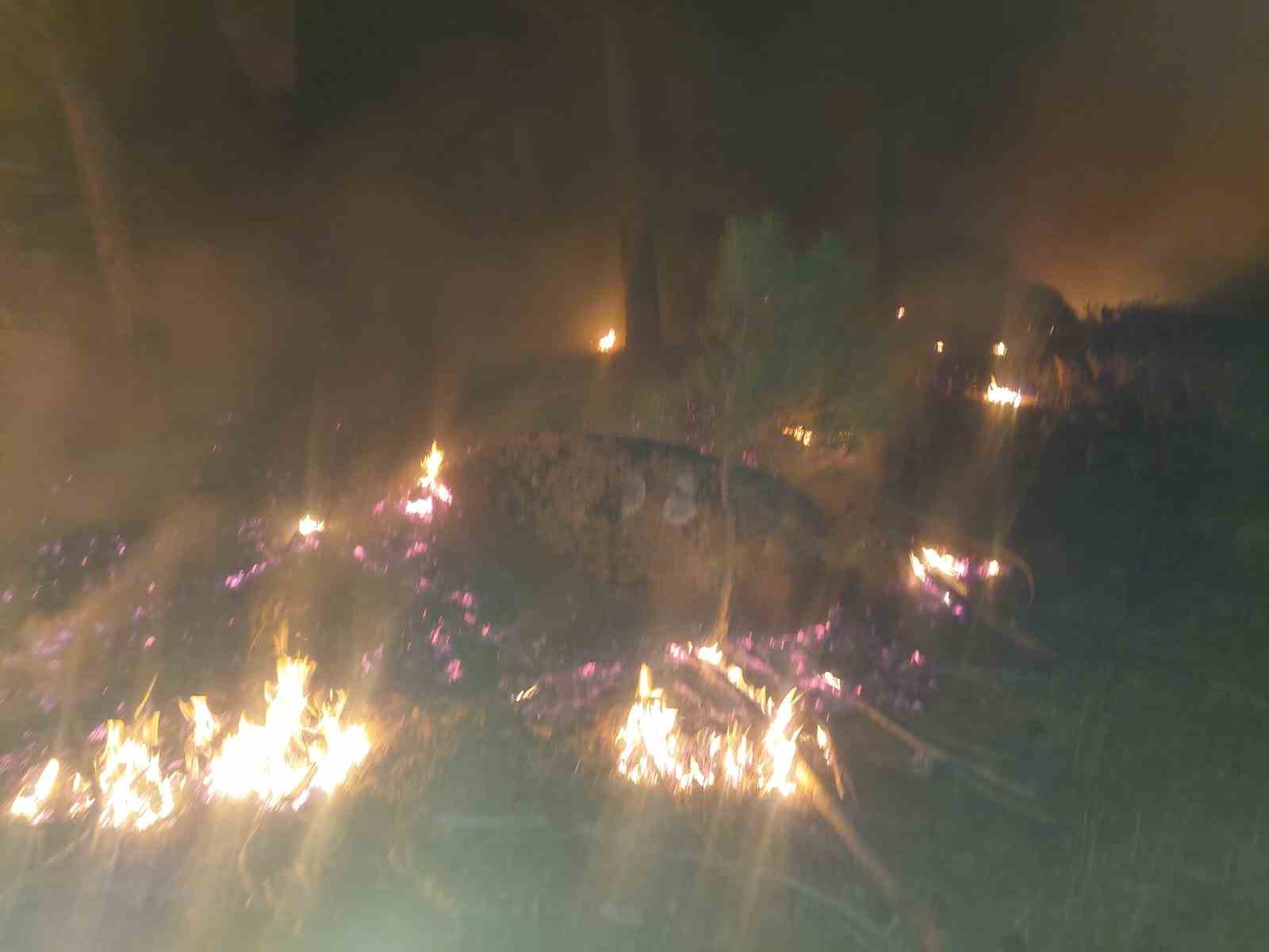 Yatağan’da orman yangını