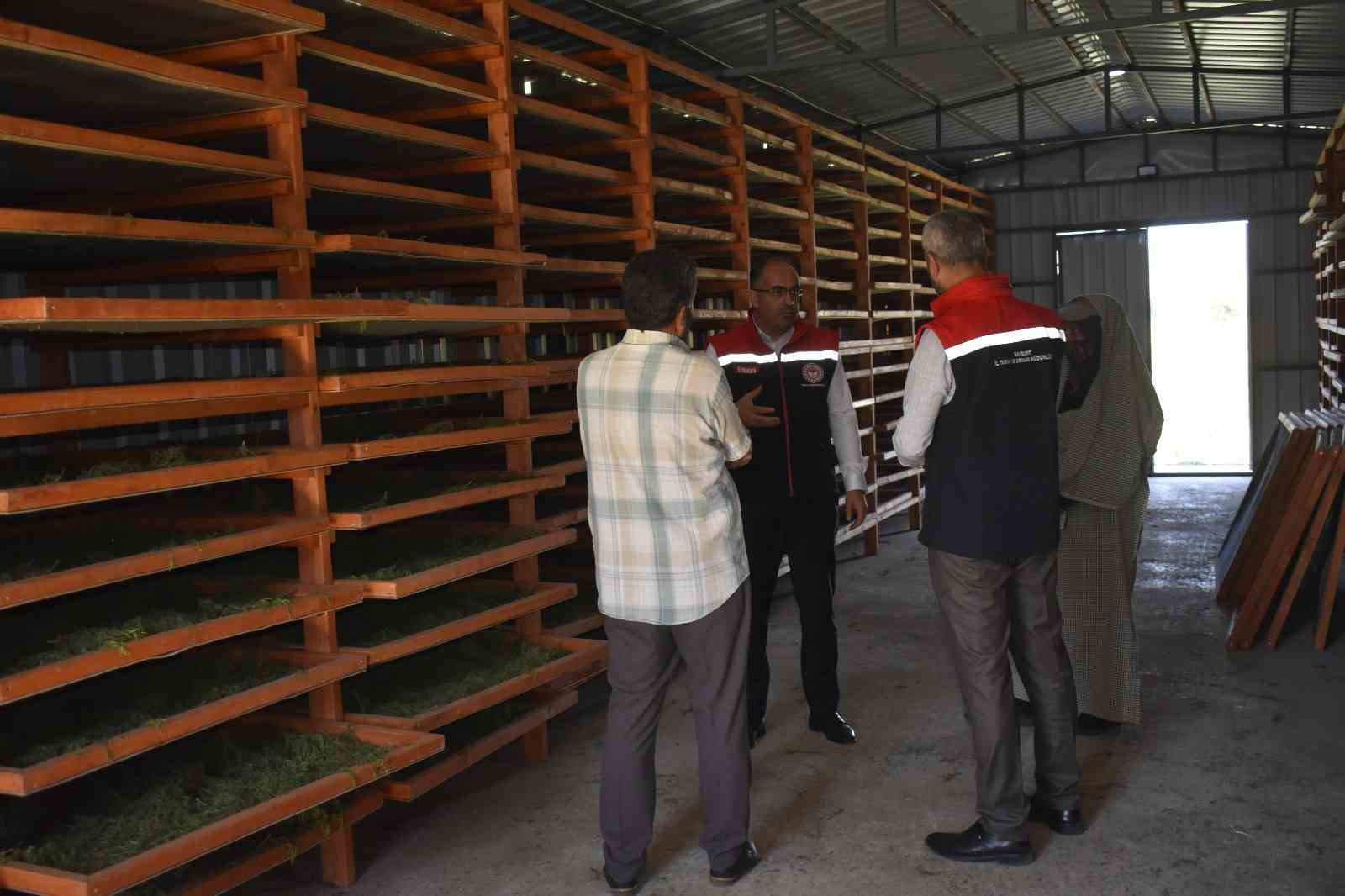 Bayburt&rsquo;ta Tarhun Kurutma Tesisi ve &uuml;retim alanları incelendi
