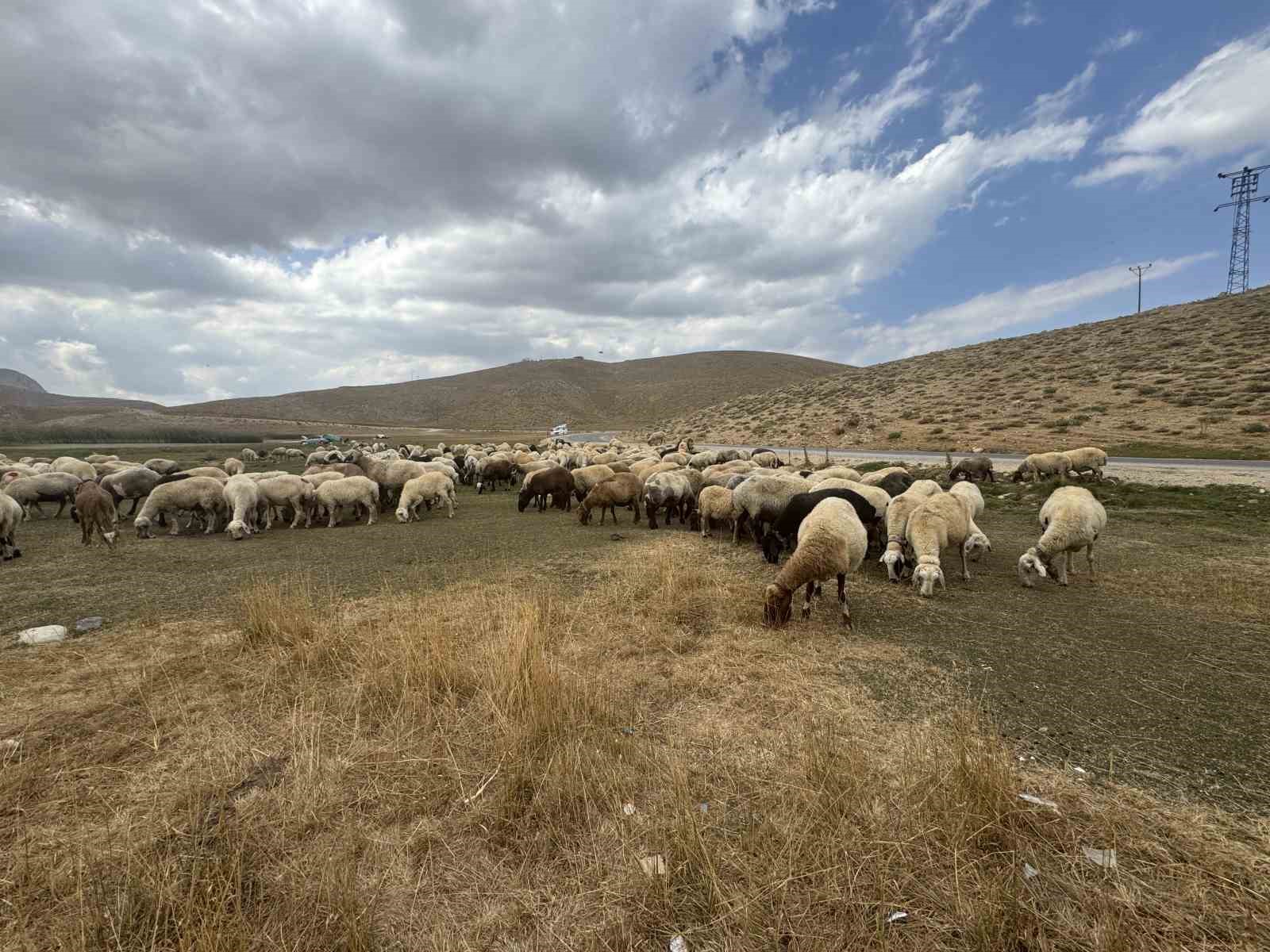 Piknik ve kamp i&ccedil;in gelip &ccedil;&ouml;plerini bıraktılar &ccedil;obanlar bile isyan etti
