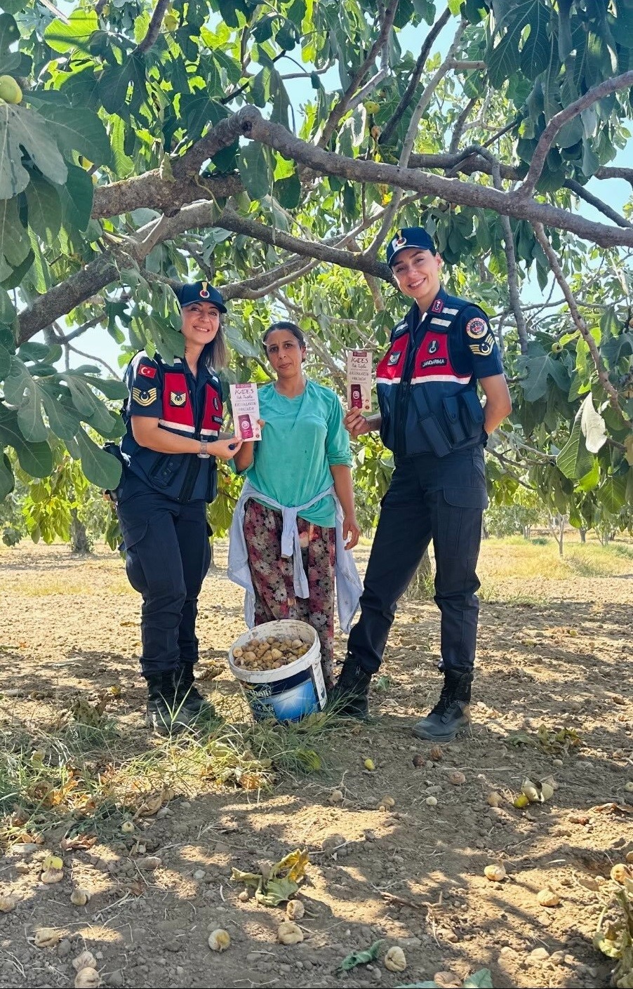 İncir hasadı yapan kadınlara KADES tanıtıldı
