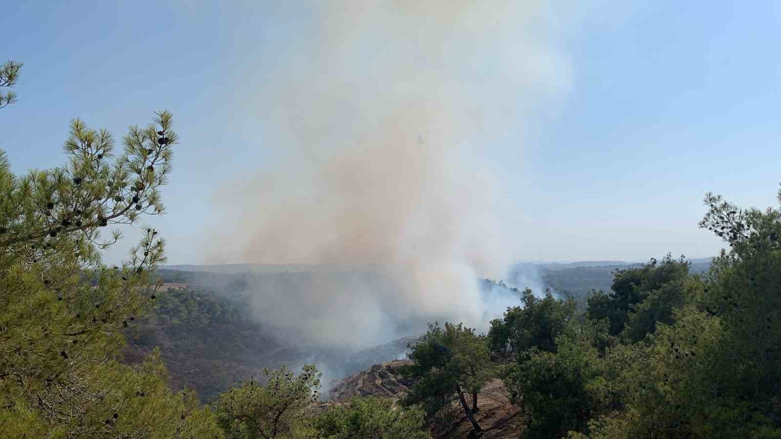 Adana’da orman yangını