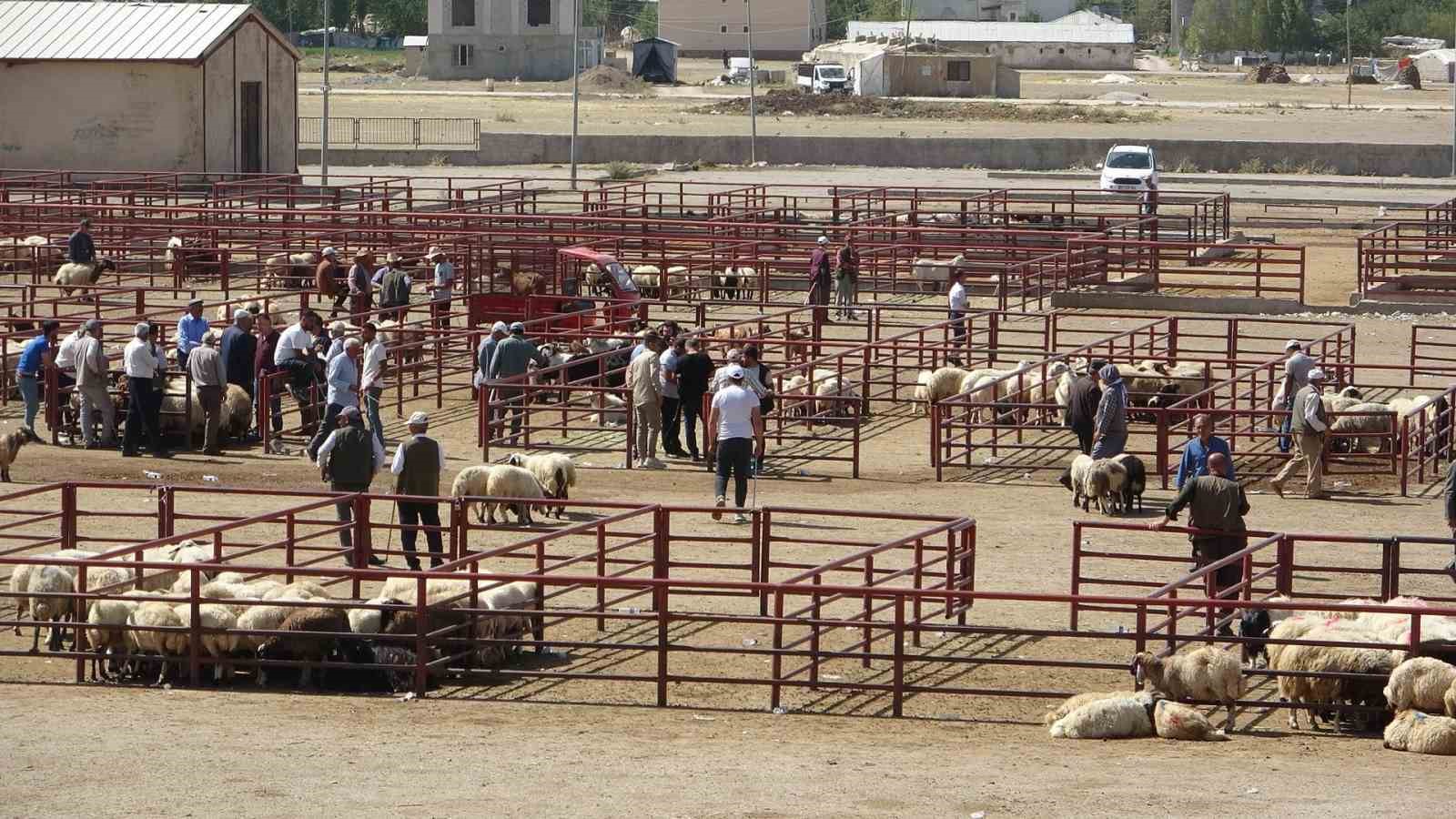 Van Hayvan Pazarı yeniden hizmete başladı