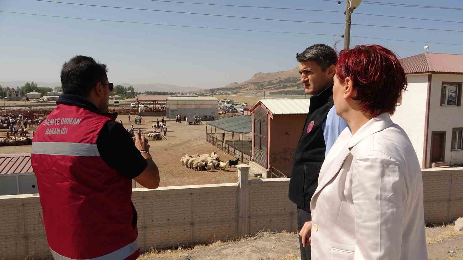 Van Hayvan Pazarı yeniden hizmete başladı
