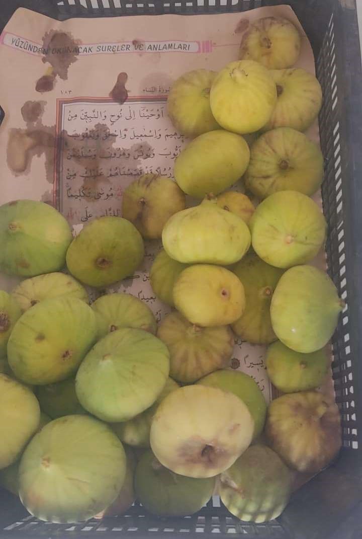 İncir kasasından Kuran-ı Kerim sayfası &ccedil;ıktı
