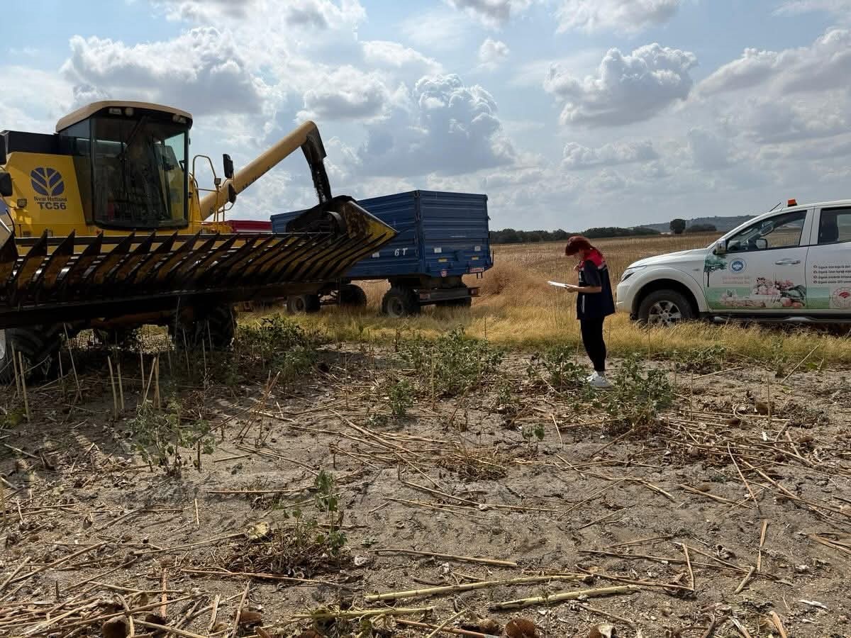 İpsala&rsquo;da bi&ccedil;erd&ouml;ver hasat kontrolleri yapıldı
