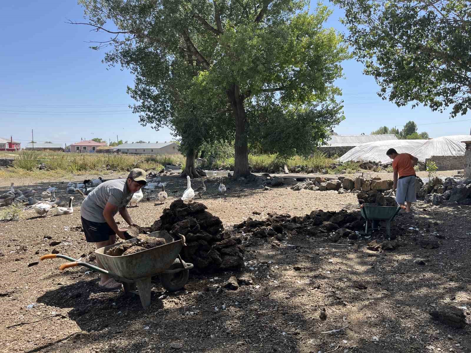 Kars&rsquo;ta k&ouml;yl&uuml;lerin kışlık tezek mesaisi başladı
