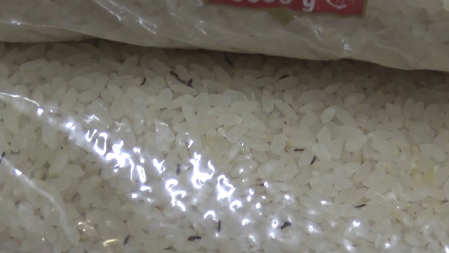 Şanlıurfa&rsquo;da tonlarca bozuk gıda &uuml;r&uuml;n&uuml; ele ge&ccedil;irildi
