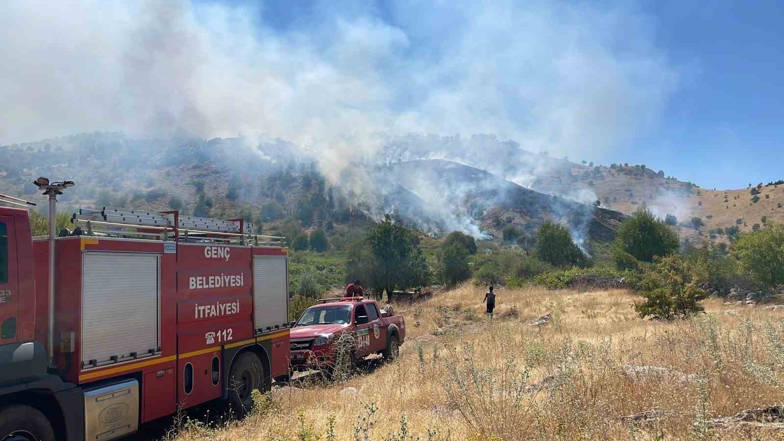 Bingöl’de köyde çıkan yangın ormana sıçradı, müdahale sürüyor