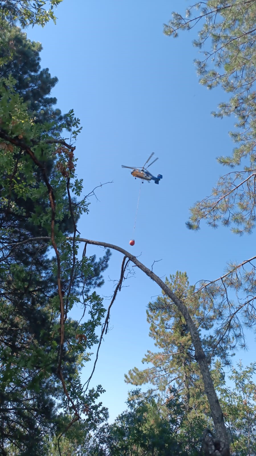Osmaniye&rsquo;de &ccedil;ıkan orman yangını b&uuml;y&uuml;meden kontrol altına alındı

