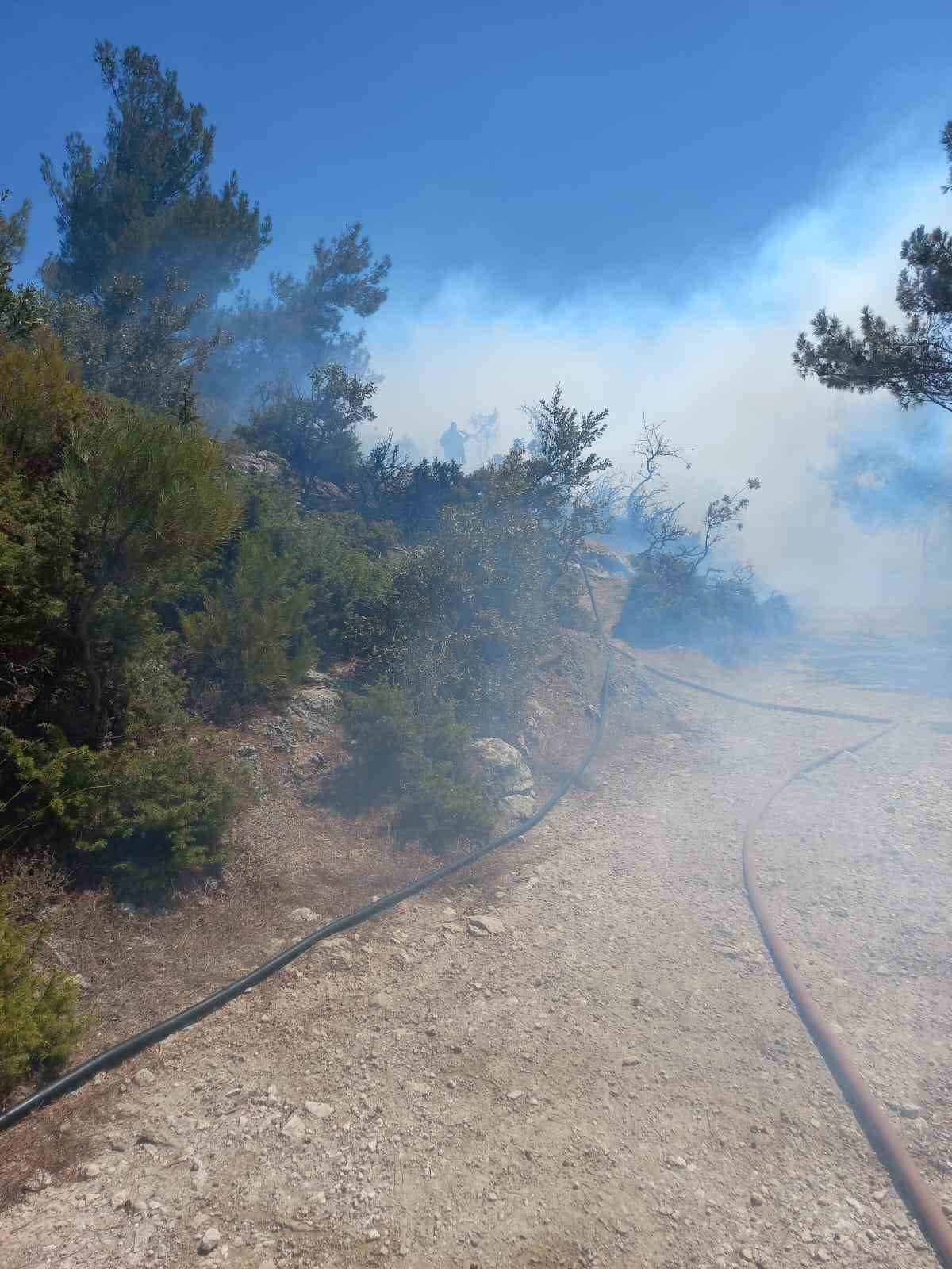 Kırkağaç’ta orman yangını kısa sürede kontrol altına alındı