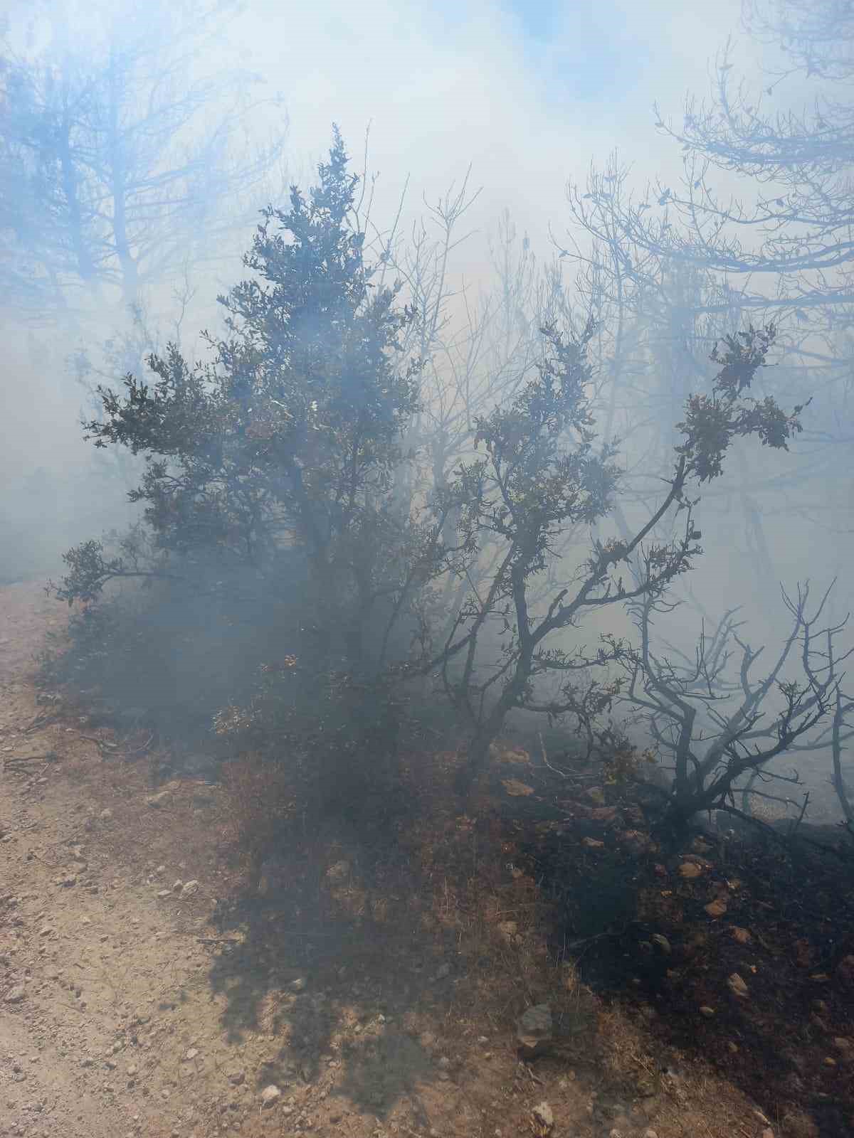 Kırkağa&ccedil;&rsquo;ta orman yangını kısa s&uuml;rede kontrol altına alındı
