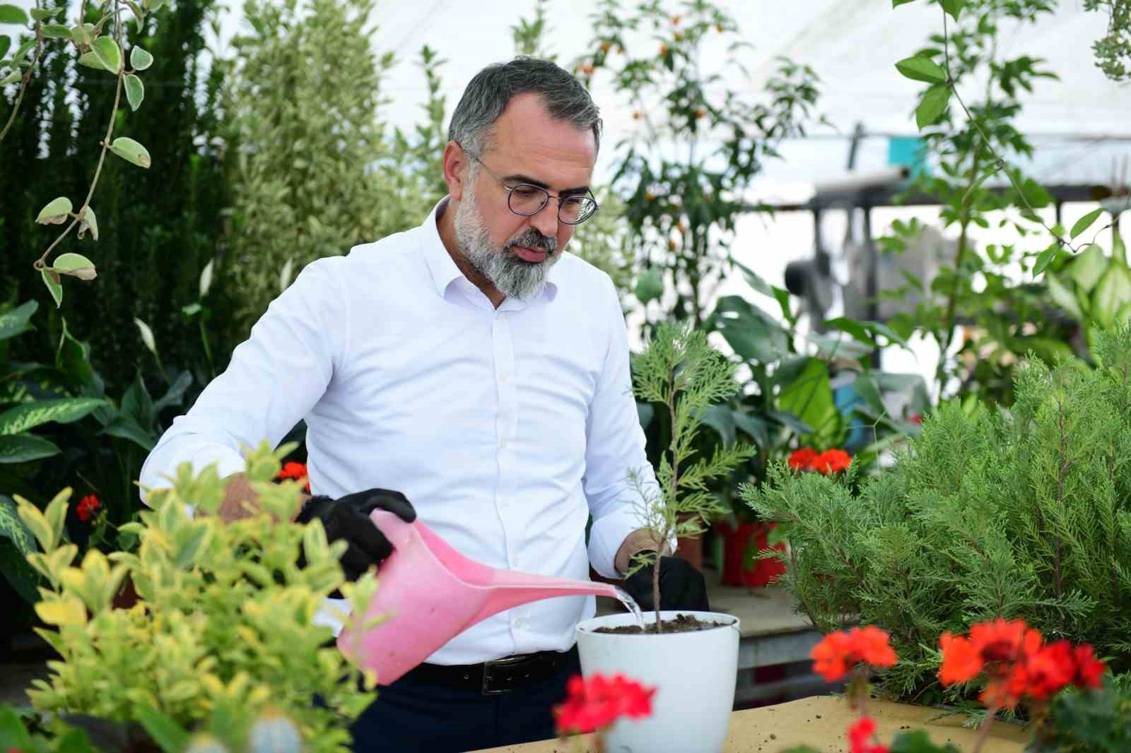 Türkiye’nin süs bitki ihtiyacının yüzde 60’ını karşılayan Kestel, gövde gösterisine hazırlanıyor