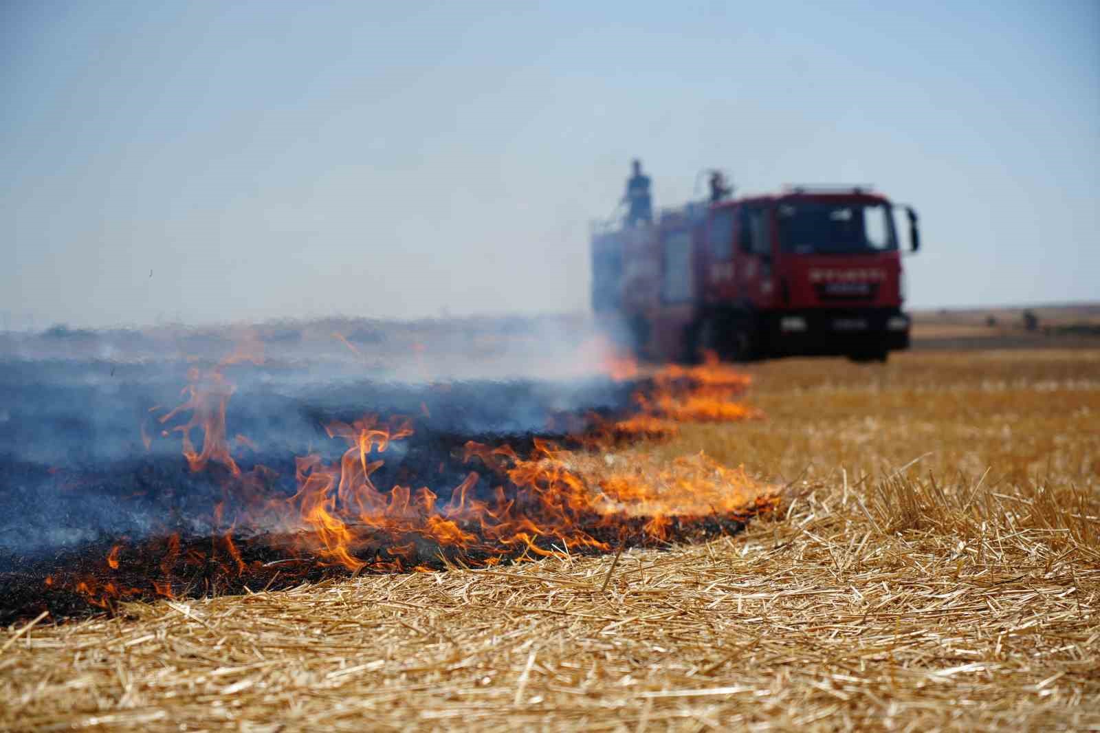 Edirne’de anız yangını