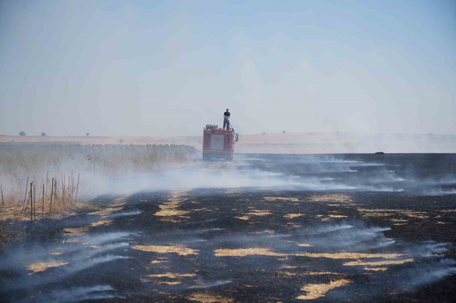 Edirne&rsquo;de anız yangını
