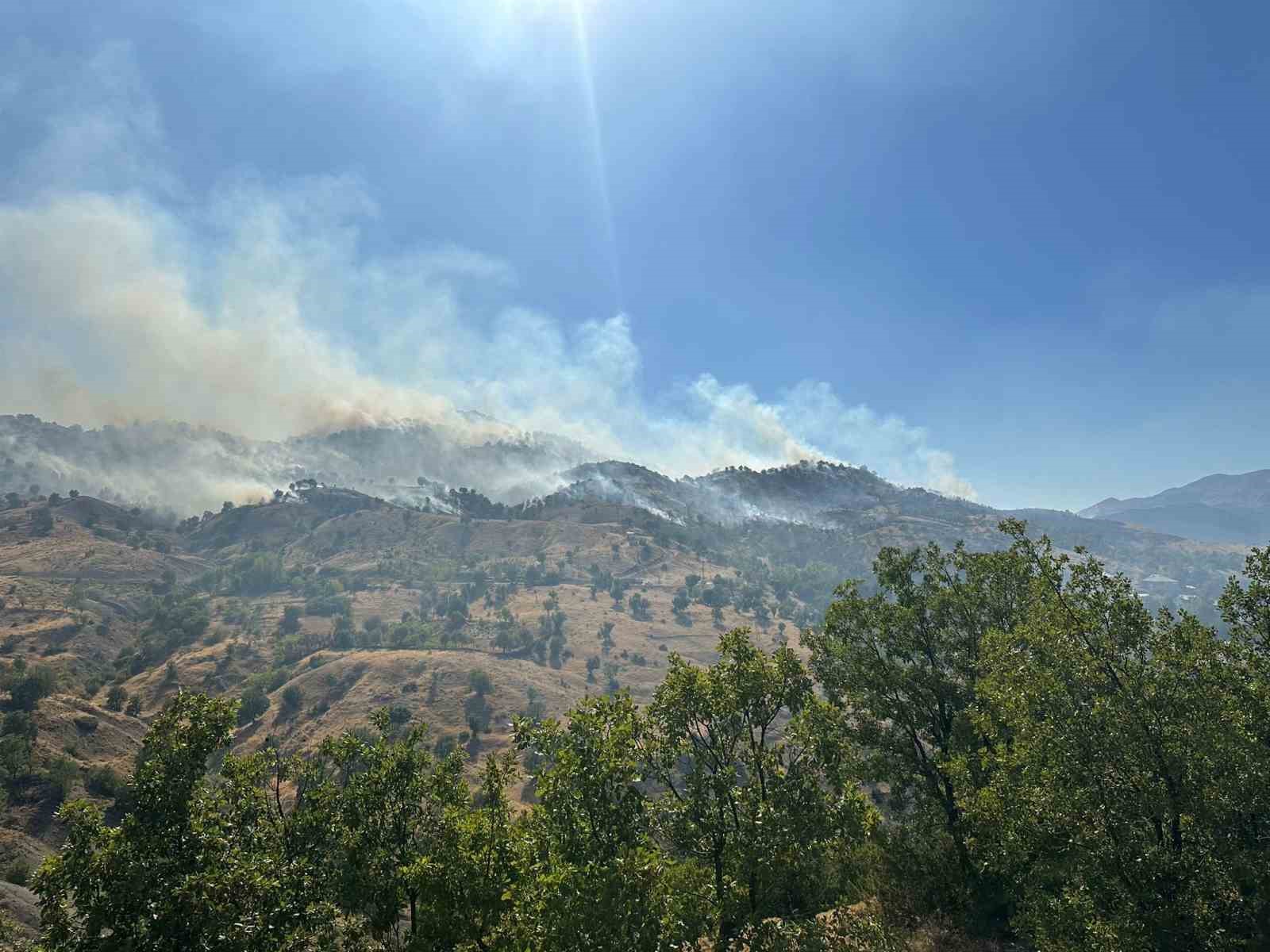 Bingöl’deki orman yangını kontrol altına alındı
