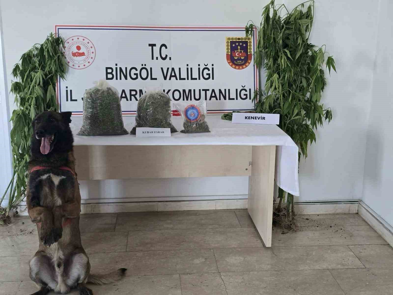 Bingöl’de uyuşturucuyla mücadele