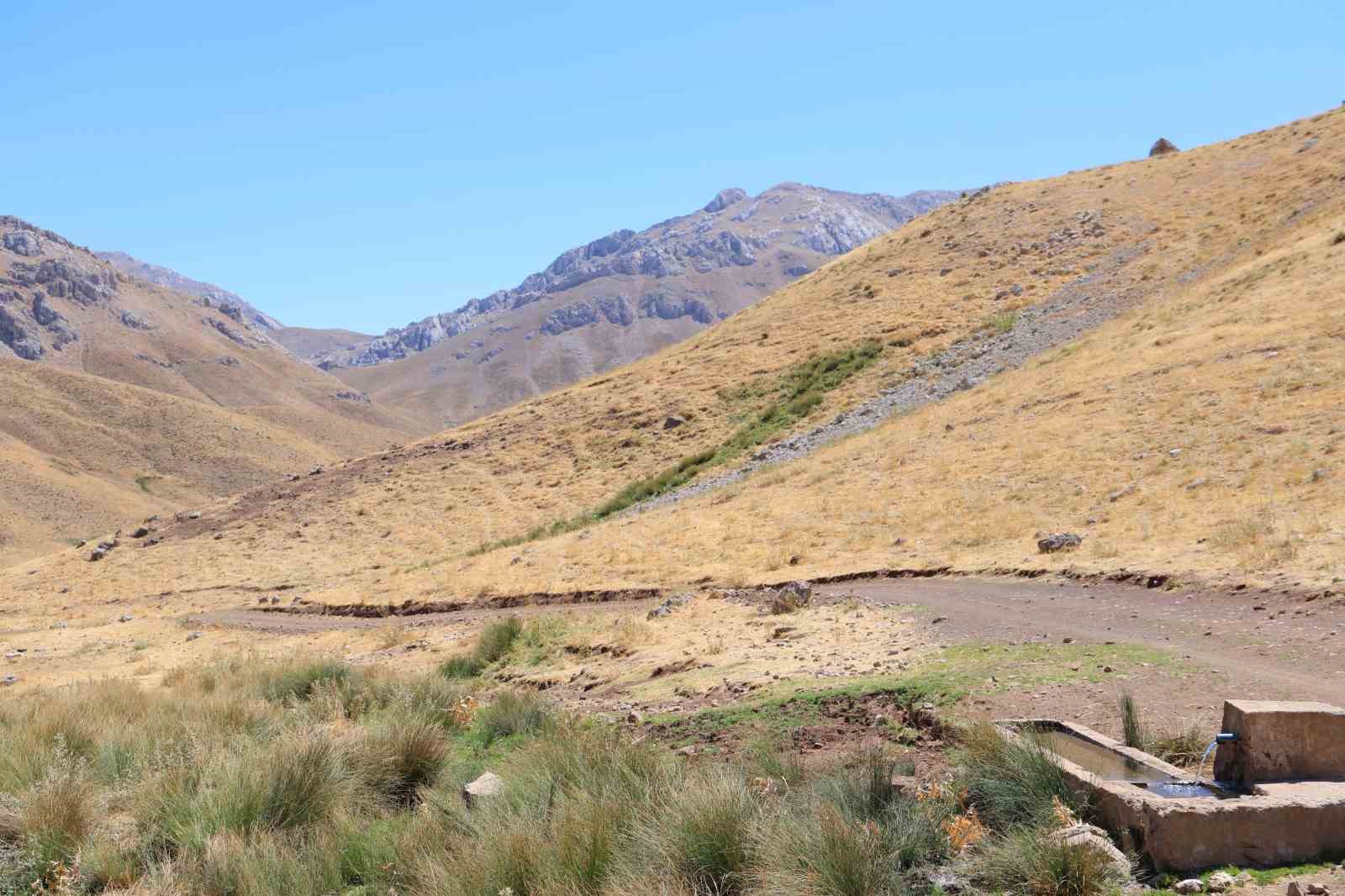 Yaylacılardan geriye mezar taşları kaldı
